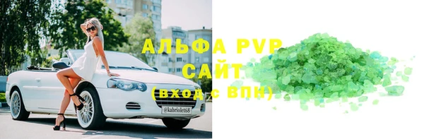 стаф Абинск