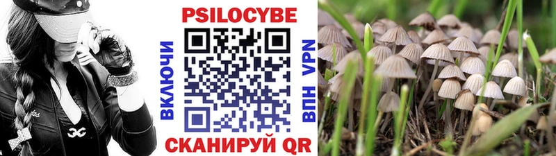 Галлюциногенные грибы мухоморы Жердевка
